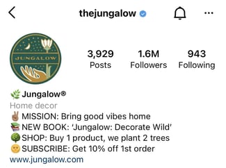 instagram bio idea: the jungalow example